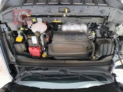 جيب رينيجيد